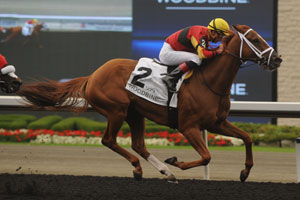 Theogony won the $108,000 Belle Mahone Stakes, at Woodbine, with Gary Boulanger in the irons. Photo by Michael Burns Photography