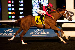 Eurico Da Silva guides Calgary Cat to victory in the $100,000 Ontario Jockey Club Stakes at Woodbine. Photo by Michael Burns Photography