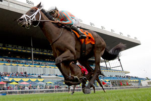 Joe Bravo guides Conquest Daddyo to victory in the $200,000 Summer Stakes at Woodbine. Photo by Michael Burns Photography