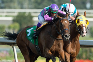 Luis Contreras guides #5 (outside Purple and green blocks) Elusive Collection to victory in the $100,000 Etobicoke Stakes at Woodbine. Photo by Michael Burns Photography