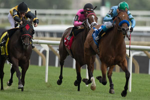 Luis Contreas guides Harp N Halo (#3 rail green hat,blue shamrock silks) to victory in the $100,000 Avowal stakes at Woodbine. Photo by Michael Burns Photography