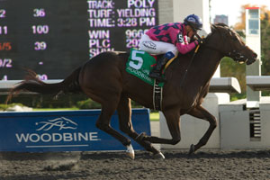 Luis Contreras guides Tiz Imaginary to victory in the $150,000 Fanfreluche Stakes at Woodbine. Photo by Michael Burns Photography