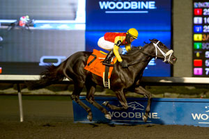 Patrick Husbands guides Kingsport to victory in the $125,000 Sir Barton Stakes at Woodbine. Photo by Michael Burns Photography