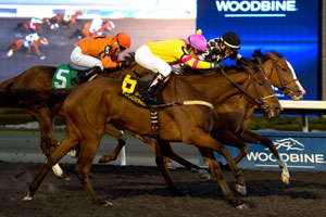 Alan Garcia guides Trini Brewnette to victory in the $125,000 South Ocean Stakes at Woodbine. Photo by Michael Burns Photography