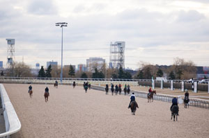 Training on Woodbine’s brand new Tapeta main track commenced on March 18th.