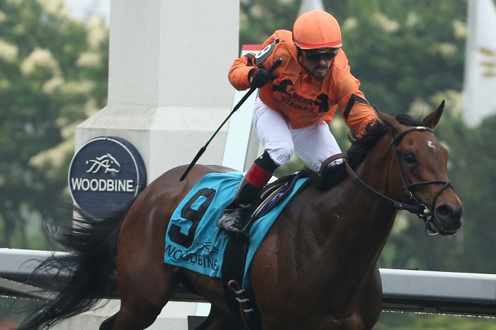 Toronto ON.June14, 2015.Woodbine Racetrack.Jockey Justin Stien guides Bear Stable's Academic to victory in the $500,000 dollar Woodbine Oaks.Academic is trained by Reade Baker. michael burns photo