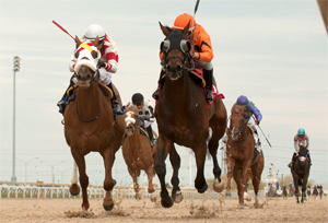 Bear'sway won the $100,600 Wando Stakes, at Woodbine. Photo by Michael Burns Photography