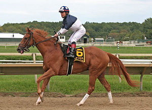 Justin Stein, shown here aboard Stormy Lord, is retiring as a jockey after 12 years.