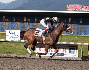 Modern was the easy winner of the Swift Thoroughbred Inaugural Stake. Photo by Patti Tubbs