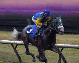 The Odds R Good went gate to wire in Monday’s Featured 3rd race at Hastings Racecourse. Photo by Lisa Thompson
