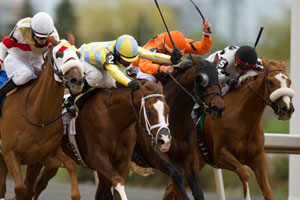 ary Boulanger skips thru on the inside rail (white silks) aboard Thatlookonyerface to outduel (R-L) #1 Bear'sway,#2 Greatest Game and #3 Dragon Bay, to capture the $150,000 dolllar Marine Stakes at Woodbine. Photo by Michael Burns Photography