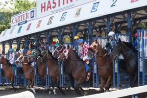 Their off in the sixth race on Sunday afternoon at Hastings. The eventual winner is number 8, Twistgrips, who didn’t break all that well. Photo by Patti Tubbs