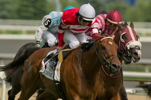 avid Moran guides Dimension (#2 Red silks white cap) to victory in the $200,000 Connaught Cup Stakes at Woodbine. Photo by Michael Burns Photography