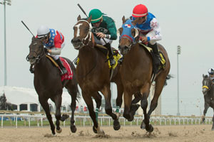 Eurico Da Silva guides Pachi Cruze (blue silks red cap) to victory in the $125,000 Frost King Stakes at Woodbine. Photo by Michael Burns Photography