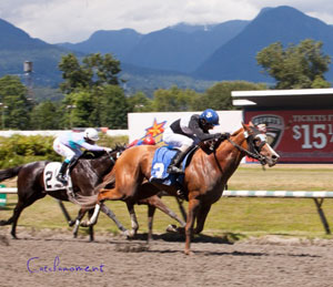 Swift Thoroughbreds’ Snuggles seen winning the Emerald Downs Stake at Hastings Racebourse. Photo by Patti Tubbs