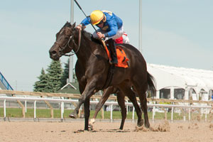 River Maid, piloted by Gary Boulanger, won the $125,400 Ballade Stakes, at Woodbine. Photo by Michael Burns Photography
