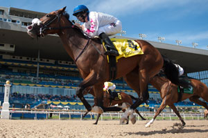 Jesse Campbell guides Caren to victory in the $250,000 Bison City Stakes at Woodbine Racetrack. Photo by Michael Burns Photography