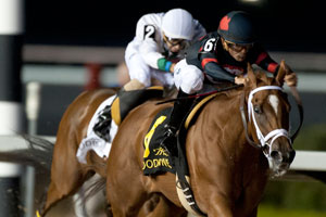 Eurico Da Silva guides Norseman Racing Stable's Generous Touch to victory in the $125,000 Eternal Search Stakes at Woodbine. Photo by Michael Burns Photography