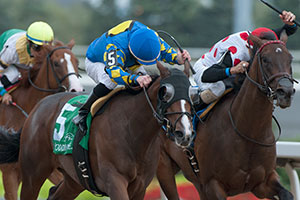 Jim McAleney guides Just Be Kind (blue& yellow silks outside) to victory in the $125,000 Ontario Debutante Stakes at Woodbine. Photo by Michael Burns