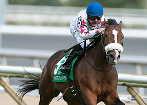 Jesse Campbell guides Caren to victory in the $150,000 Carotene Stakes at Woodbine. Photo by Michael Burns