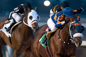 Alan Garcia guides Undulated to victory in the $125,000 Swynford Stakes at Woodbine. Photo by Michael Burns