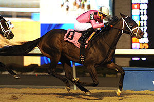 King and His Court won the $125,000 Display Stakes at Woodbine under Gary Boulanger. Photo by Michael Burns