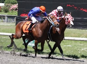 Boundary Bay won the first two-year-old race of the year. Photo by Jackie Humber