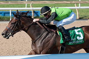 Gary Boulanger guides Moonlit Promise to victory in the $125,000 La Lorgnette Stakes at Woodbine. Photo by Michael Burns