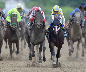 Cloud Computing takes the Preakness Stakes, piloted by Javier Castellano. Preakness Stakes Photo
