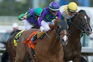 Luis Contreras guides Keen Gizmo to victory in the $125,000 Steady Growth Stakes at Woodbine. Photo by Michael Burns