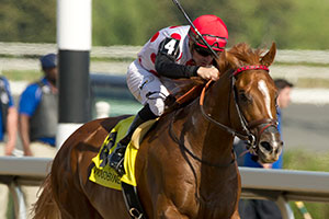 Florent Geroux guides Souper Tapit to victory in the $125,000 Marine Stakes at Woodbine. Photo by Michael Burns