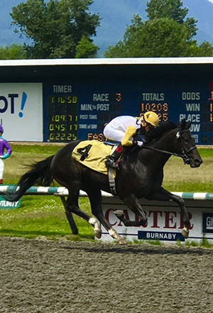 Thumbnail for A Sparkling Weekend for Daz Lin Dawn in Emerald Downs Handicap