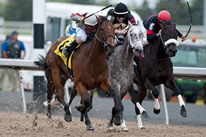Rafael Hernandez guides Minks Aprise to victory in the $100,000 Trillium Stakes at Woodbine. Photo by Michael Burns