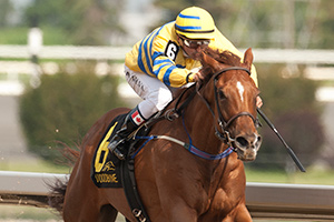 Eurico Da Silva guides Pink Lloyd to victory in the $125,000 Achievement Stakes at Woodbine. Photo by Michael Burns
