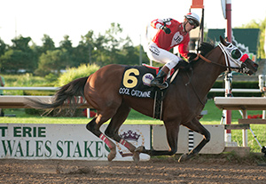 Luis Contreras guides Cool Catomine to victory in the $500,000 Prince of Wales Stakes,the second leg of the Canadian Triple Crown. Photo by Michael Burns