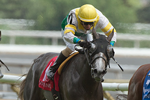 Rafael Hernandez guides Final Copy to victory in the $100,000 Toronto Cup Stakes at Woodbine. Photo by Michael Burns