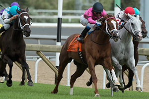 Patrick Husbands guides Conquest Panthera (pink silks) to victory in the $175,000 Play the King Stakes. Photo by Michael Burns