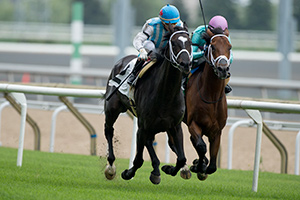 Glenville Gardens (2) winning on July 22 at Woodbine Racetrack. Photo by Michael Burns