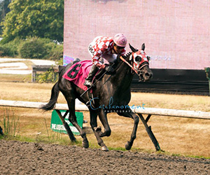 My Aunt Mo was the easy winner in the Hard Rock Casino with Mario Gutierrez aboard. Photo by Patti Tubbs