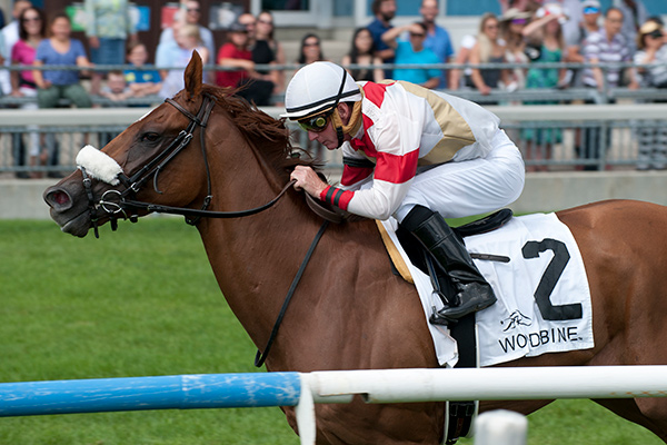 Thumbnail for Dragon Bay Looking to Strike in Ricoh Woodbine Mile