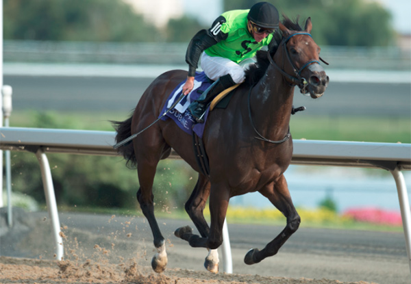 Moonlit Promise claimed the $100,000 Sweet Briar Too Stakes ta Woodbine. Photo by Michael Burns