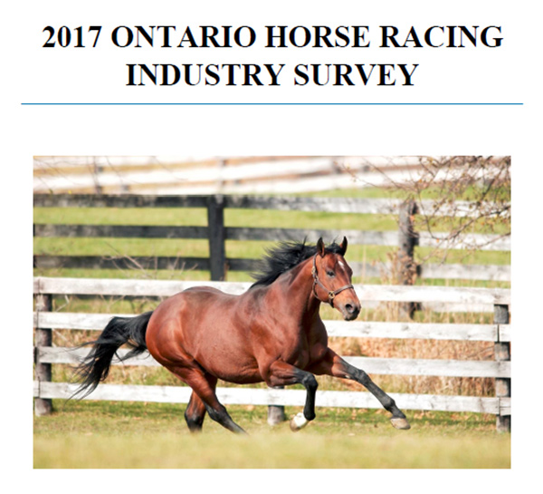 Thumbnail for Ontario Horse Racing Industry Survey Results