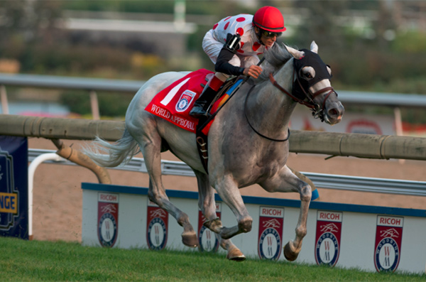 World Approval won the the $800,000 Ricoh Woodbine Mile. Photo by Michael Burns