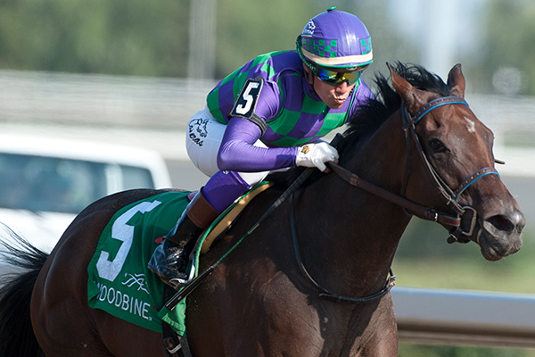 ckey LuLuis Contreras guides Ami's Mesa to victory in the $125,000 Seaway Stakes at Woodbine. Photo by Michael Burns