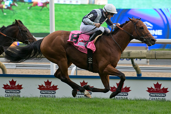 Erupt winning the 2016 Pattison Canadian International at Woodbine Racetrack. Photo by Michael Burns