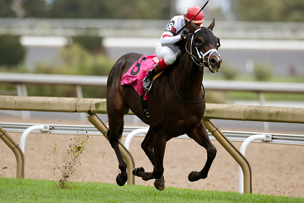 Field of Courage won the Nearctic Stakes. Photo by Michael Burns