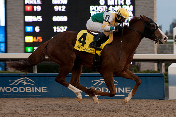 Ghostly Presence winning the $125,000 Jammed Lovely Stakes on Saturday, Nov. 11 at Woodbine Racetrack. Photo by Michael Burns