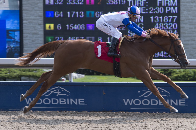 Thumbnail for Day Phillips trainees are top contenders in Woodbine stakes
