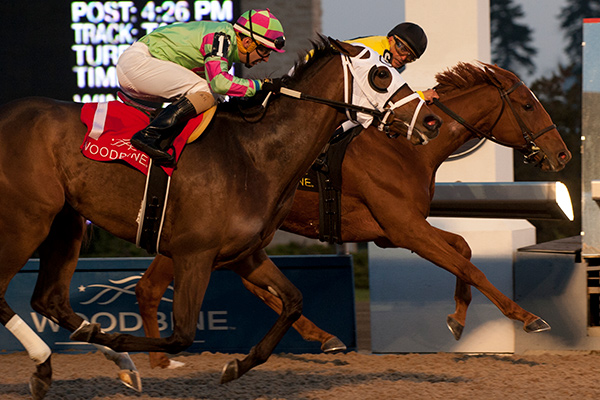Dixie Moon (inside) winning the $125,000 Ontario Lassie Stakes on Sunday, Dec. 3 at Woodbine. Photo by Michael Burns