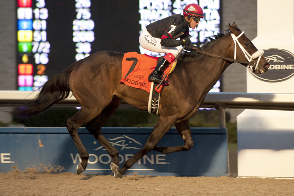 Silent Sting winning the $125,000 Kingarvie Stakes on Saturday, Dec. 9 at Woodbine.